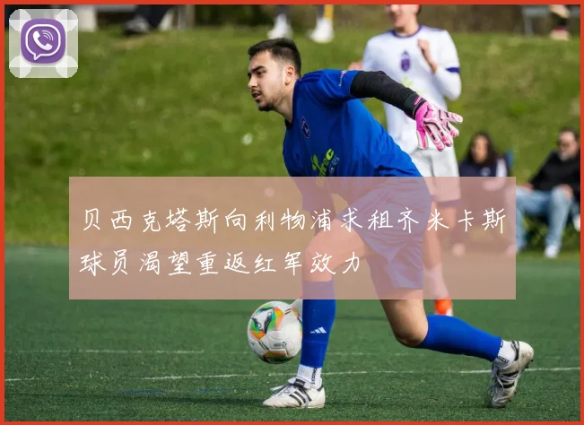 贝西克塔斯向利物浦求租齐米卡斯球员渴望重返红军效力