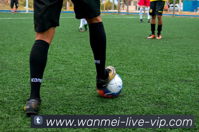 完美真人平台生态图