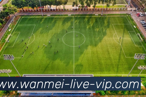 完美真人全站App